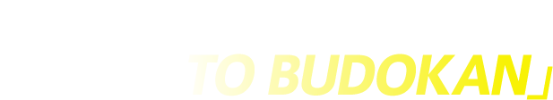 武道館ワンマンまで約4ヶ月！メンバー全員で語る「ROAD TO BUDOKAN」