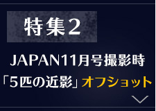 特集2：JAPAN11月号撮影時「5匹の近影」オフショット