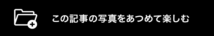 このレポートの写真をマイアルバムに保存