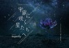 Superflyの楽曲が星空を彩る！ コラボプラネタリウムの上映決定 - 『宇宙に咲く星たちへ　Songs by Superfly』キービジュアル