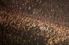 UVERworld、23000人の男祭りがDVD＆BD化。3/14にリリース