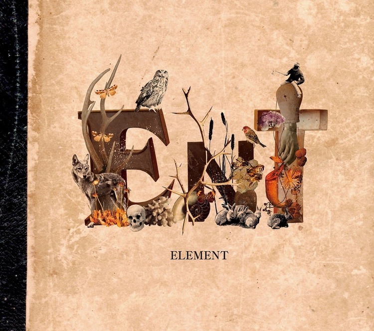 ホリエアツシのソロプロジェクト・ent、新曲MVにマイヘア・椎木知仁が出演 - 『ELEMENT』
