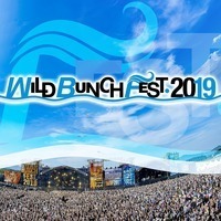 「WILD BUNCH FEST. 2019」第2弾に宮本浩次、ホルモン、ユニゾン、WANIMAら - 「WILD BUNCH FEST. 2019」