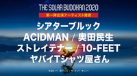 オンライン開催「THE SOLAR BUDOKAN 2020」第1弾にシアターブルック、ACIDMAN、奥田民生、10-FEET、テナー、ヤバT